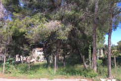 Baugrundstück in Santa Ponsa