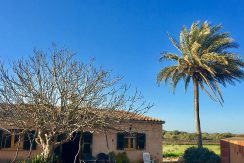 Verkauf Kauf Finca Llucmajor Mallorca